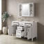 Armoire de meuble-lavabo 48 po avec comptoir en composite, 4 tiroirs et tablettes réglables-133421982