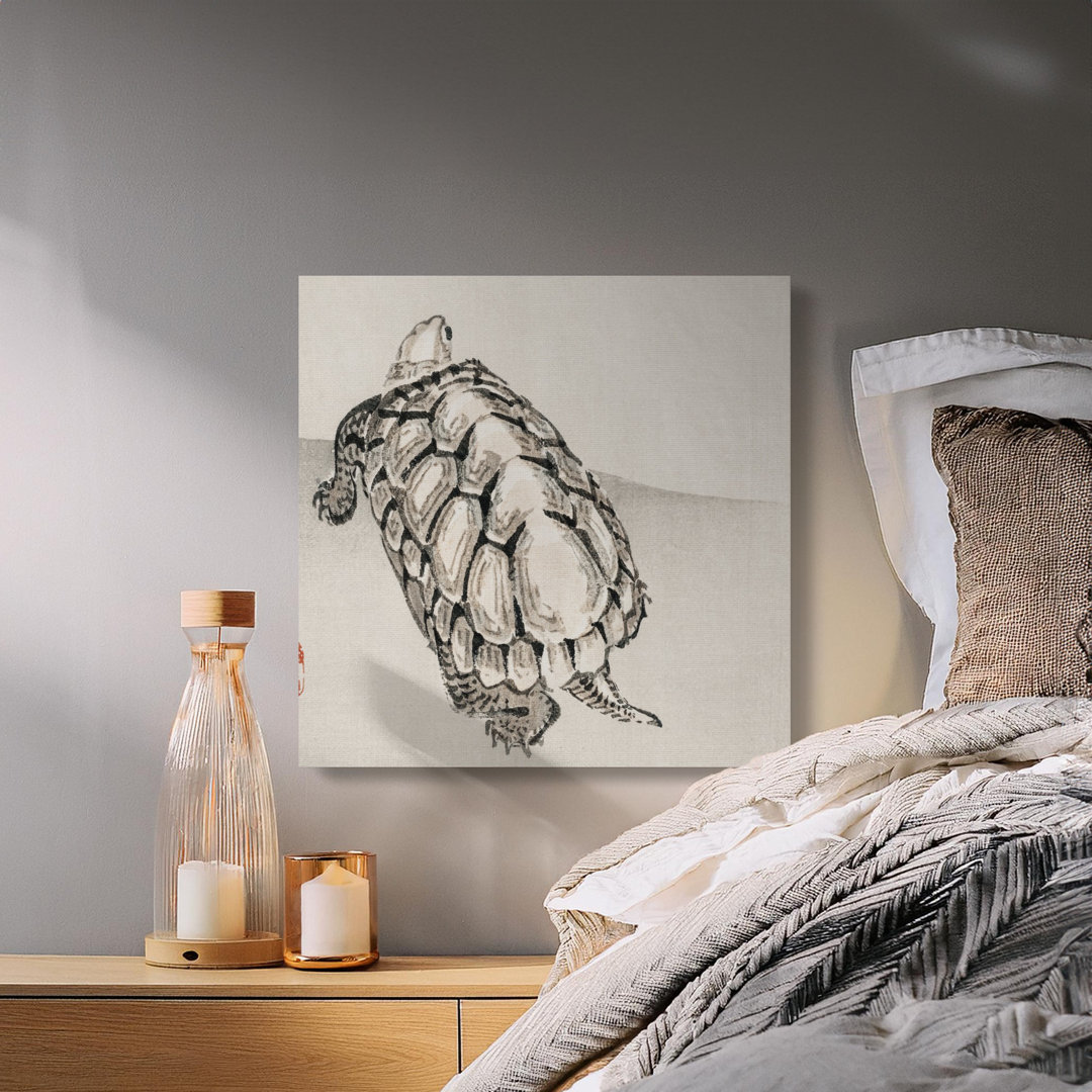 Zen Turtle Animal Art Canvas