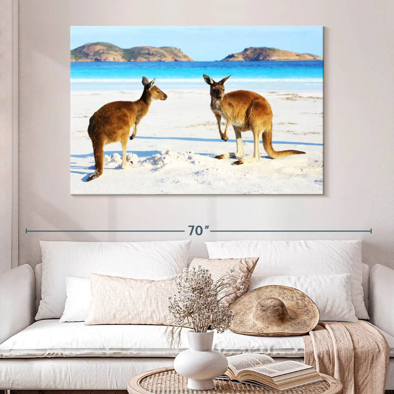 Cape Le Grand Kangaroos