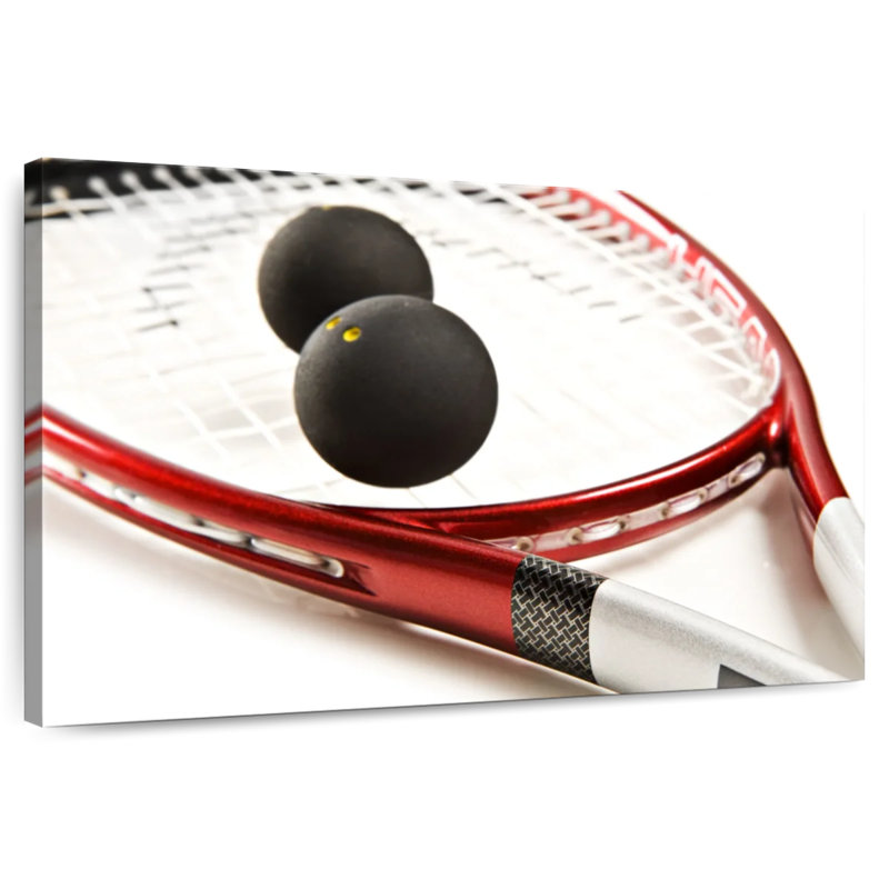 Sireci Squash Game Tools