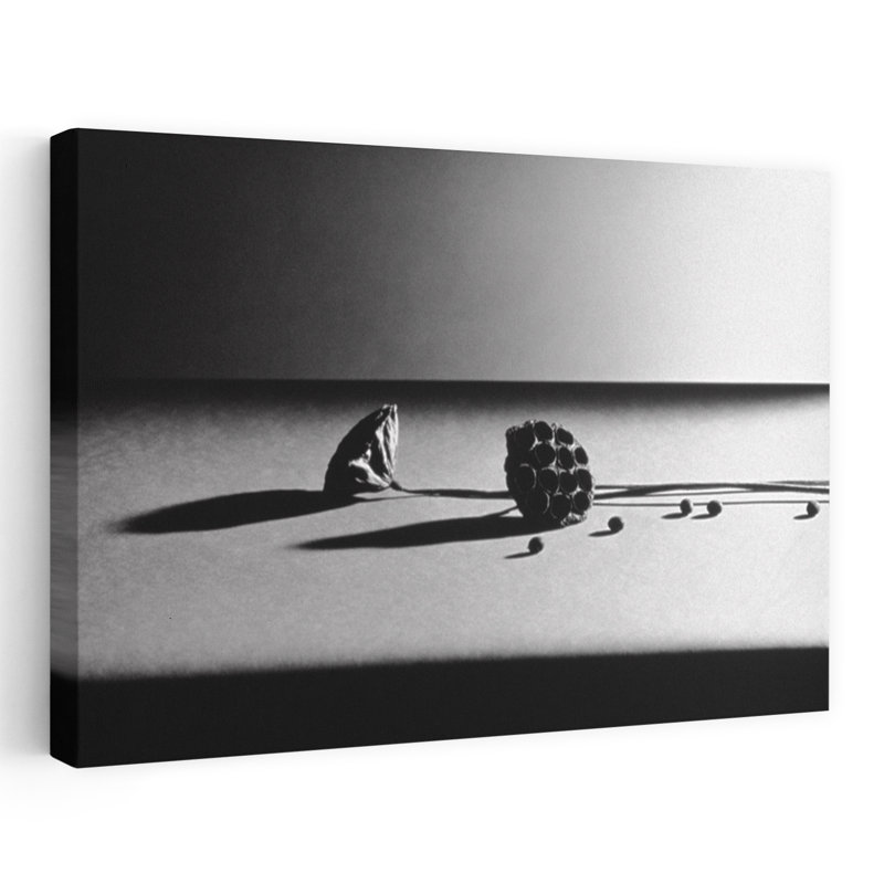 Art mural contemporain noir et blanc de cosses de graines sur table sur fond blanc, H 40 po x l 60 po