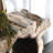 Odette Natural Teak Wood Console Sofa Table