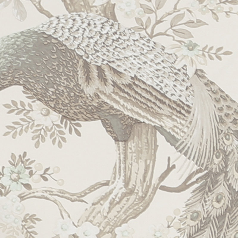 Rouleau de papier peint Laura Ashley Belvedere, Truffe douce