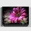 Flower Purple Daisy 1 - Wrapped Canvas-35549076