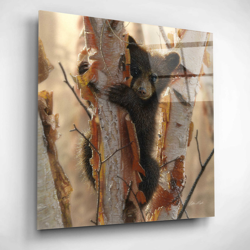 «Curious Cub II» par Collin Bogle - impression sans cadre, H 12 po x l 12 po x P 0,13 po