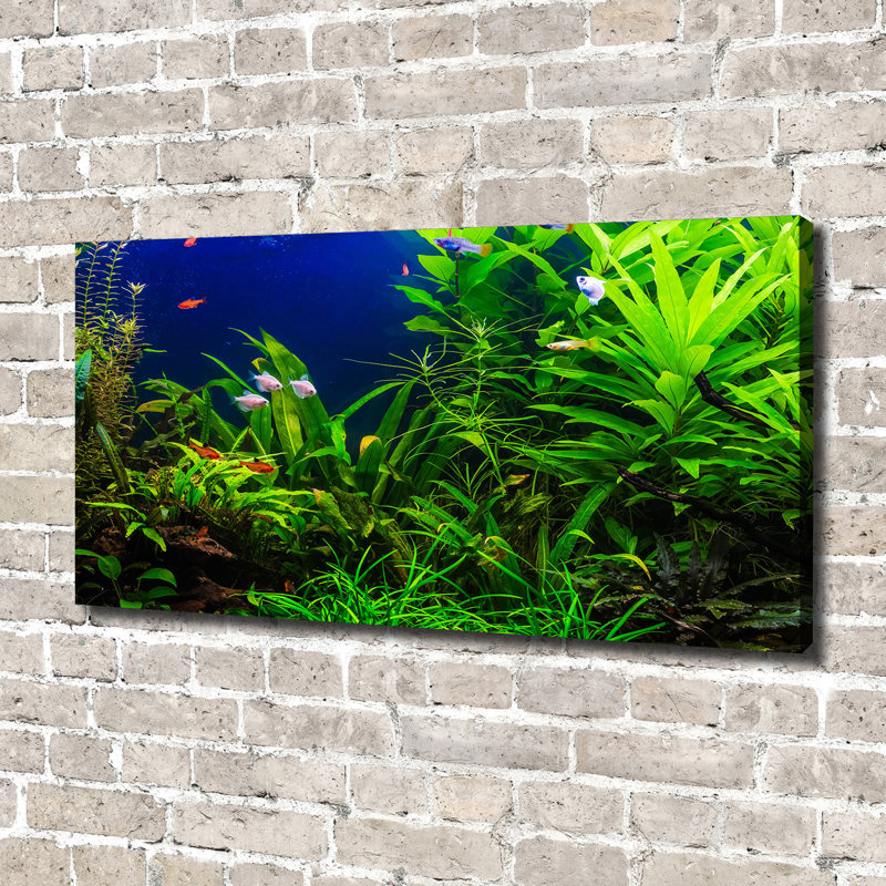 Fish In The Aquarium - Wrapped Canvas Print