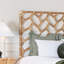 Silas Queen Standard Bed, Black-372823321-372823314