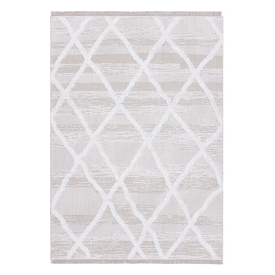 Sutapa Cotton Geometric Indoor Rug