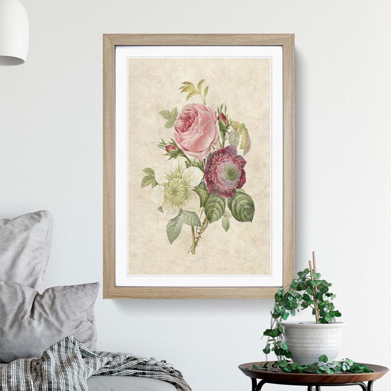 Pink Anemone Rose by Pierre-Joseph Redoute - Picture Frame Painting Print, 48cm H x 36cm W x 2cm D, Oak Framed