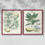 Buchoz Tropicals III - reproduction encadrée de qualité supérieure - prête à être accrochée - aucun clou requis - aucun clou requis-1822360638-1822360639