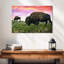Bison And Buffalo-108872329