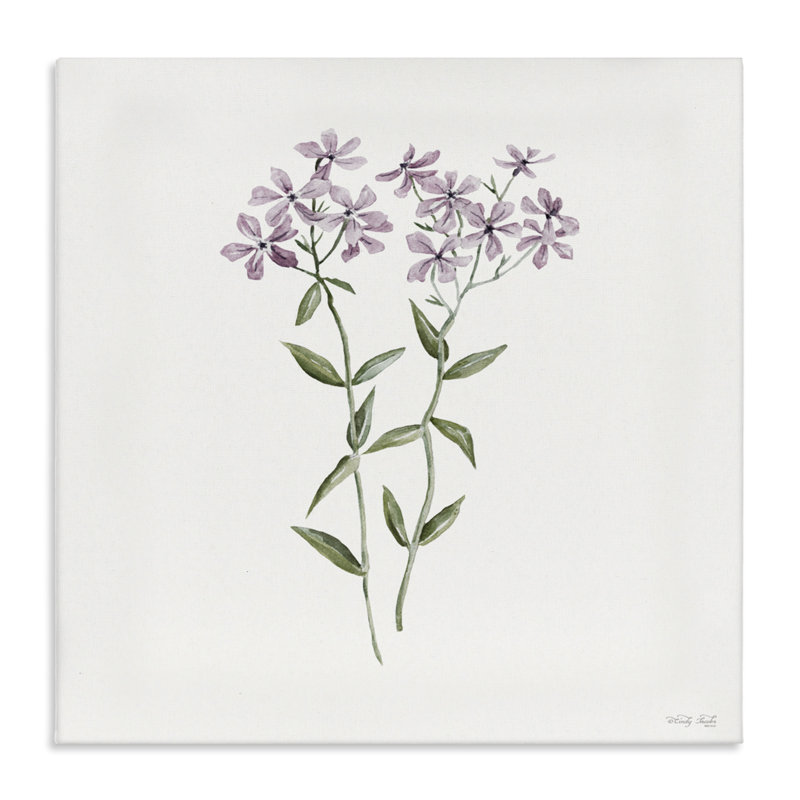 Toile botanique mauve Phlox, design par Cindy Jacobs, H 17 po x l 17 po