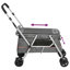 Delvale Collapsible Vehicle Travel Carrier with 1 Door-1990711694