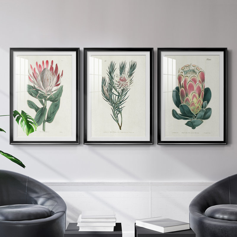 Protea N13 - Ensemble de 3 impressions encadrées, H 30,5 po x l 127,5 po x P 1,5 po, Cadre noir