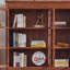 Bibliothèques modernes et populaires