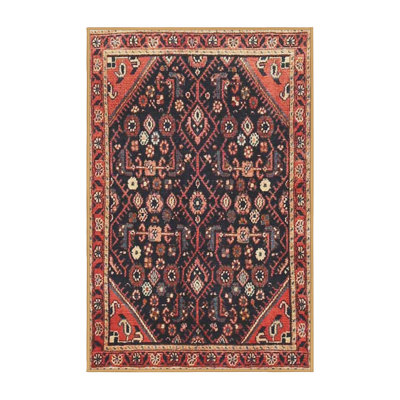 Oriental Indoor Rug