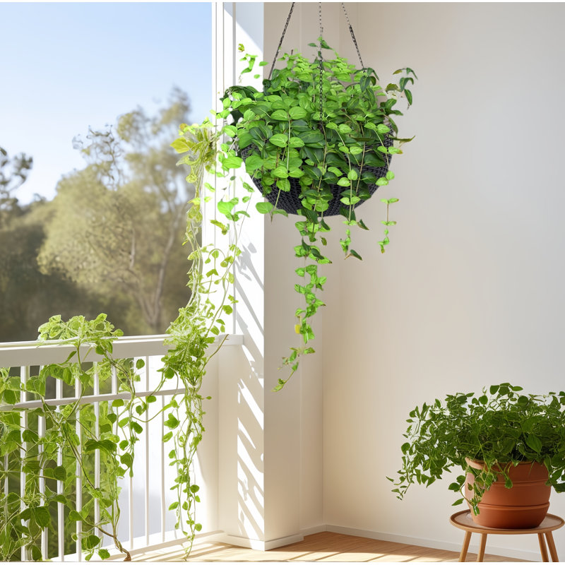 13 In. W Plastic Rattan Hanging Round Planter Set With Self-Watering System (2-Packs), Black