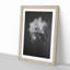 Pretty White Orchid - Framed Print-55768056-55768059