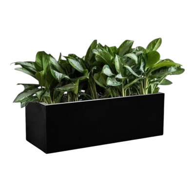 Modern Rectangular Fiberglass Planter