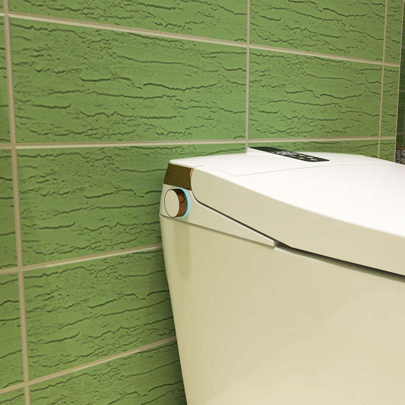 Elongated Bidet Toilet 1.28 GPF  With Adjustable Sprayer Settings, Deodorizing, Soft Close, White