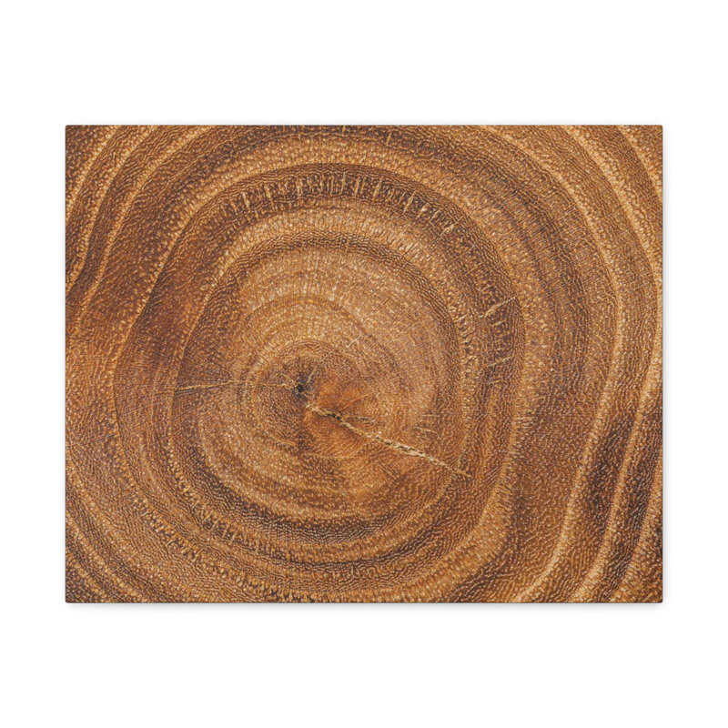 Art mural sur toile, texture en bois, H 16 po x l 20 po