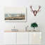 Piping Plover Birds by John Audubon - Wrapped Canvas-55329362