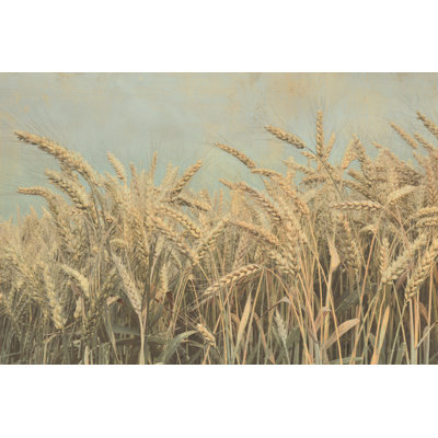 Moisson d'or