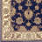 Oriental Indoor Rug-16355642