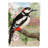 Woodpecker Double Sided 40'' H x 28'' W Polyester Animal House Flag