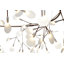 Heracleum III The Big O LED Chandelier-93498973-48365292-94915071