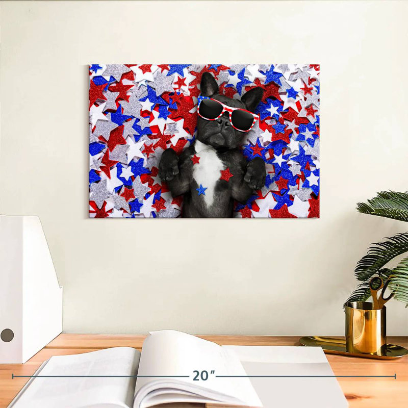 Bouledogue français américain Brampt, H 8 po x l 12 po