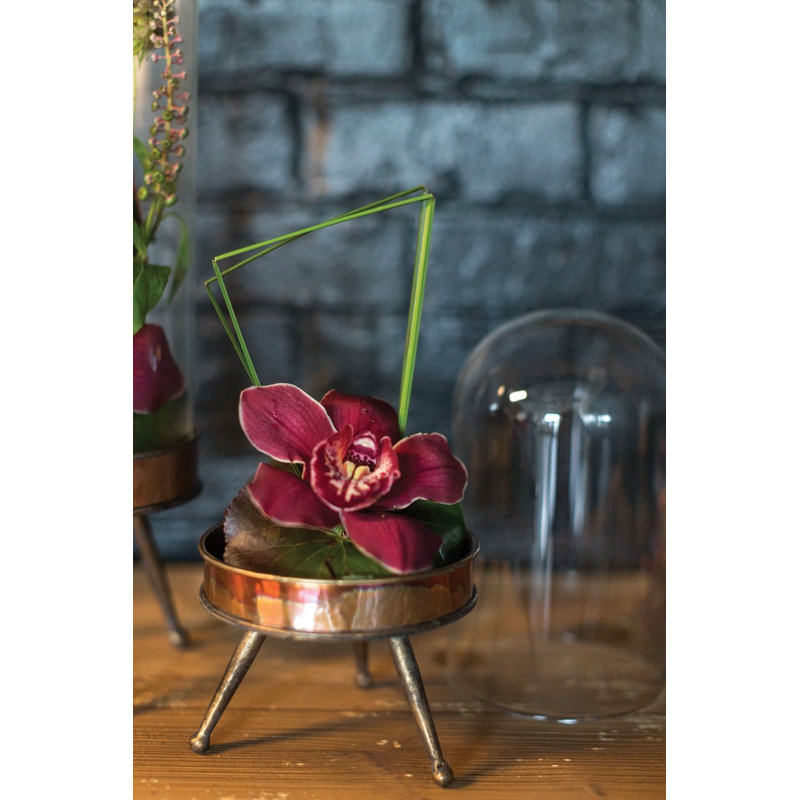 Rochanda Cloche Or Water Globe, 16" H x 5" W x 5" D