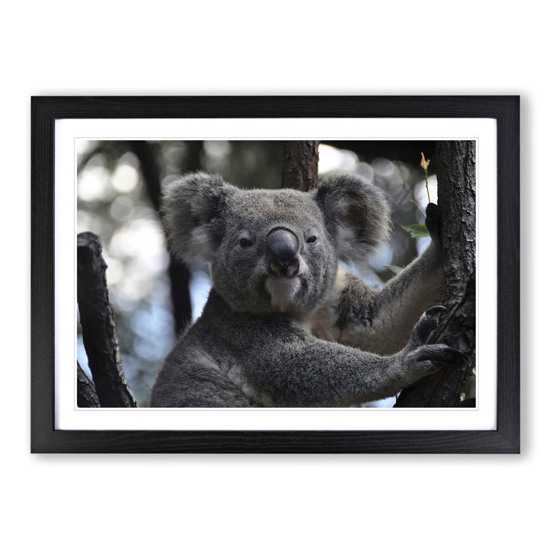 Single Picture Frame Print, Black