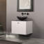 Rosa 23.6'' W Single Vanity