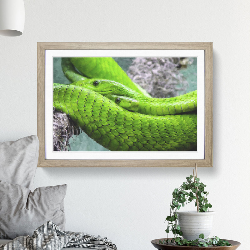 Green Mamba Snakes - Framed Print, 48cm H x 65cm W x 2cm D, Oak Framed