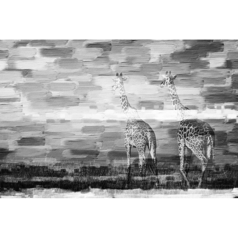 Parvez Taj - Wrapped Canvas Print, 51cm H x 76cm W