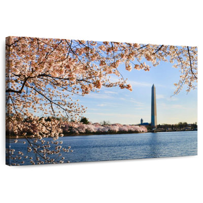 Lilie Cherry Trees In Washington