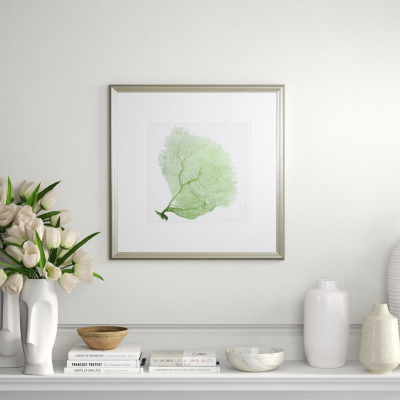 Sea Fan IX Print by Vision