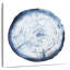 Avery Tree Ring Overlay I-109227293