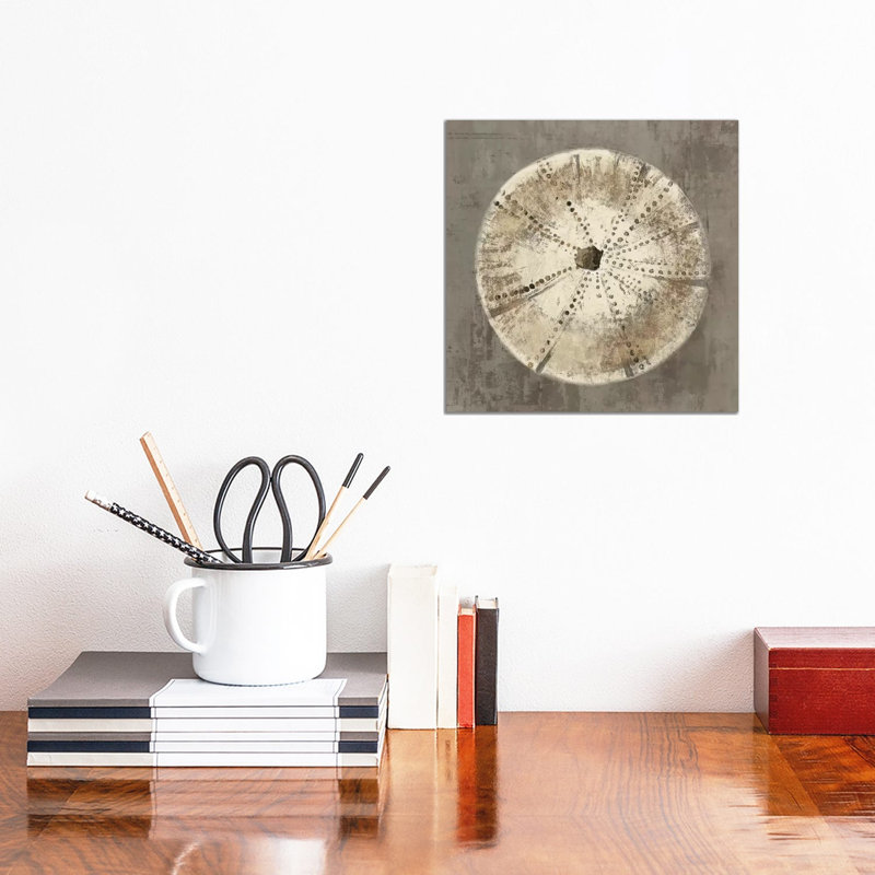 Sand Dollar I by Aimee Wilson - Wrapped Canvas Print, 30.48 cm H x 30.48 cm W
