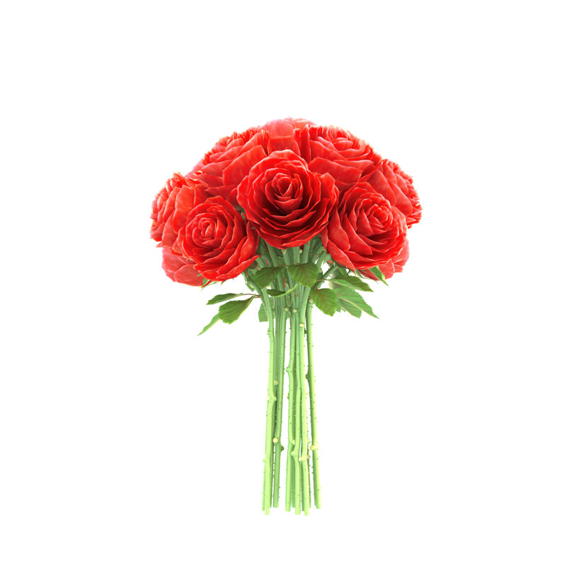 Roses par Filograph, H 20 po x l 20 po