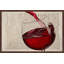 « pinot noir », reproduction d’art encadrée-21870950