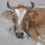 Parvez Taj - Wrapped Canvas Painting-36743828