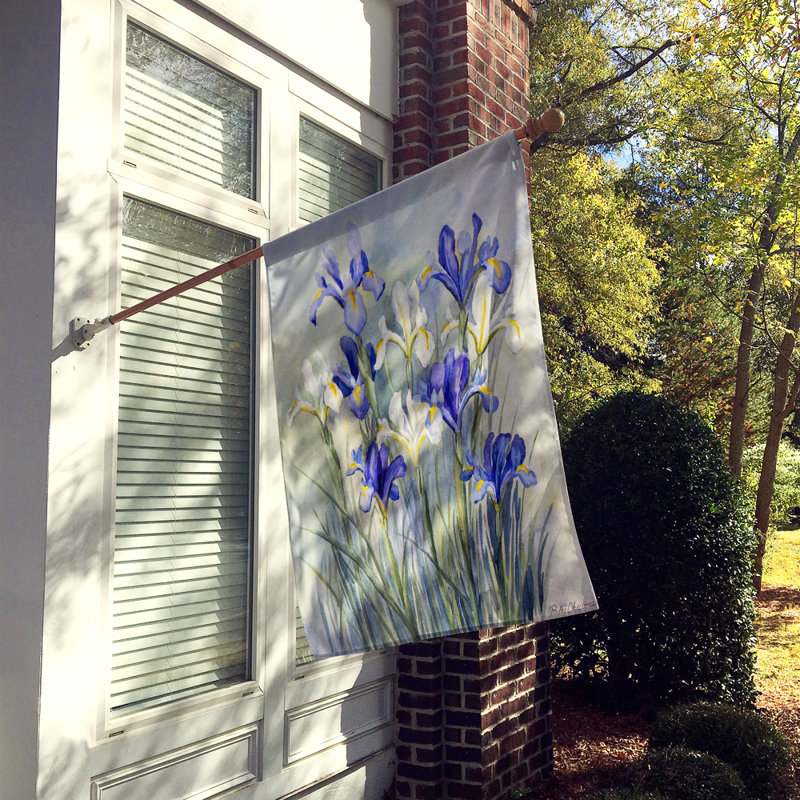Drapeau de jardin Fereol Iris par Bettie Cheesman, H 28 po x l 40 po