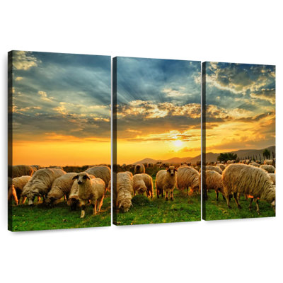 Brampt Flock Of Sheep