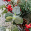 CEDAR BERRY - 26 Inch Wreath with 50 8 Function Lights