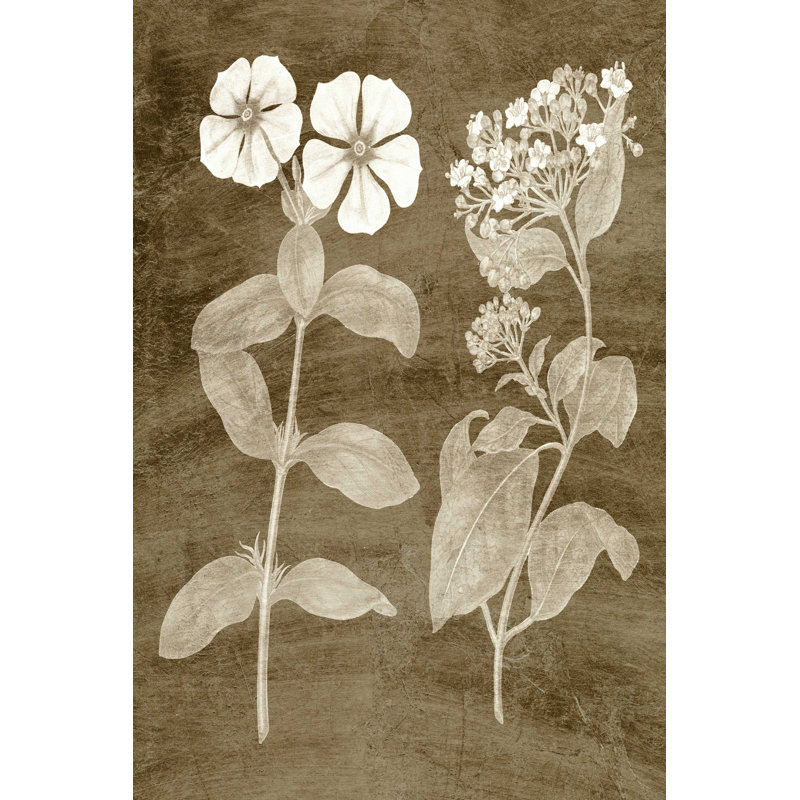 Botanique en taupe IV, H 12 po x l 8 po
