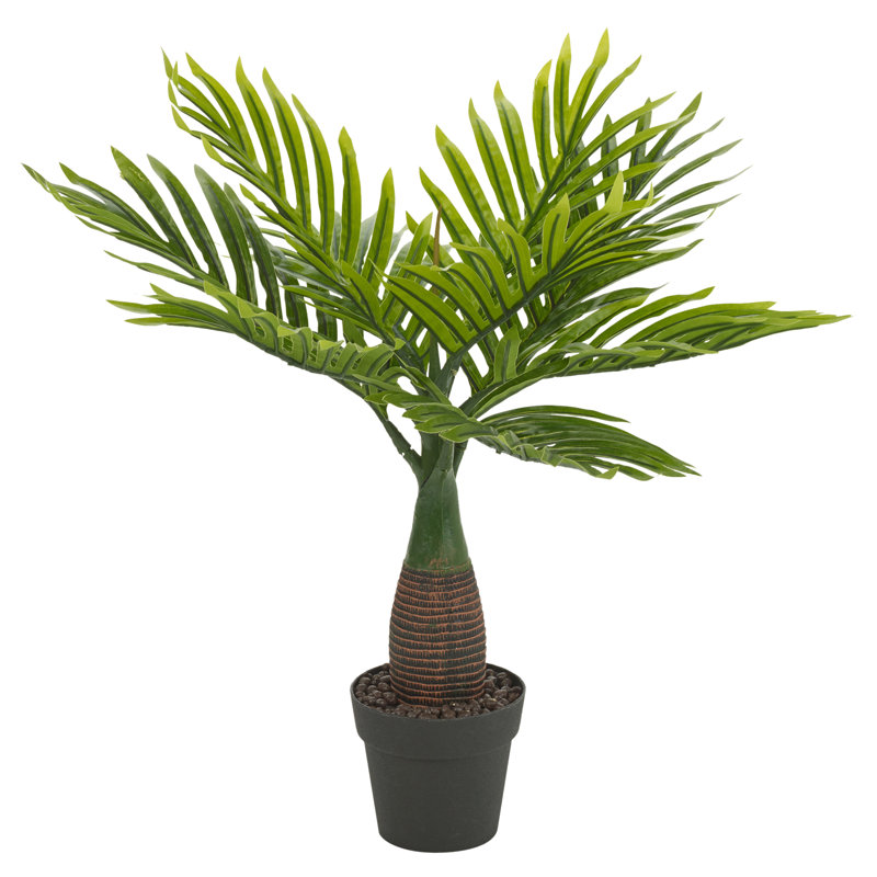 45cm Palm Plant in Pot