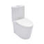 Toilette allongée une pièce à double chasse 1,24 / 1,6 GPF (siège inclus)