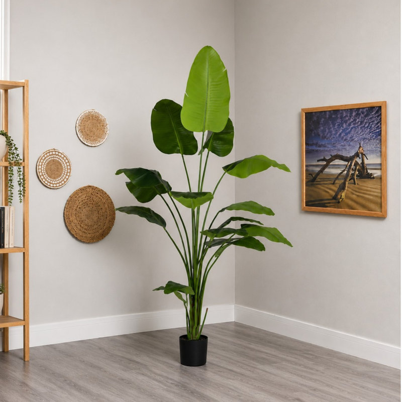 Palmier 7 'en fausse cocotte, plante d'intérieur feuille de bananier tropical 7'